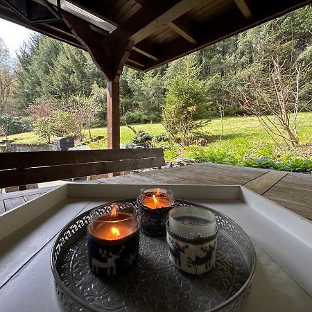 Charming Villa On The Forest In Wald 12 Guests Hugh Garden Willingen Sauerland Brilon Exterior foto