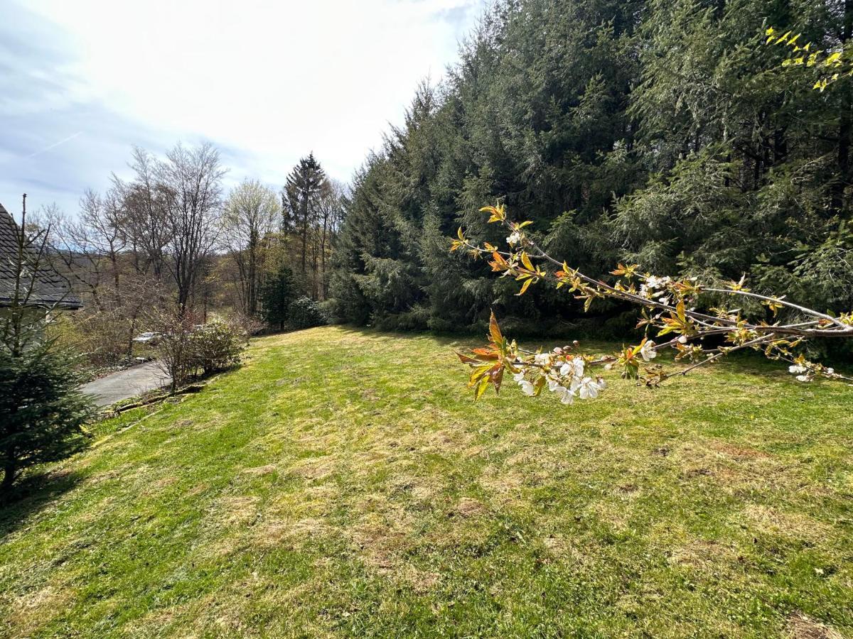 Charming Villa On The Forest In Wald 12 Guests Hugh Garden Willingen Sauerland Brilon Exterior foto