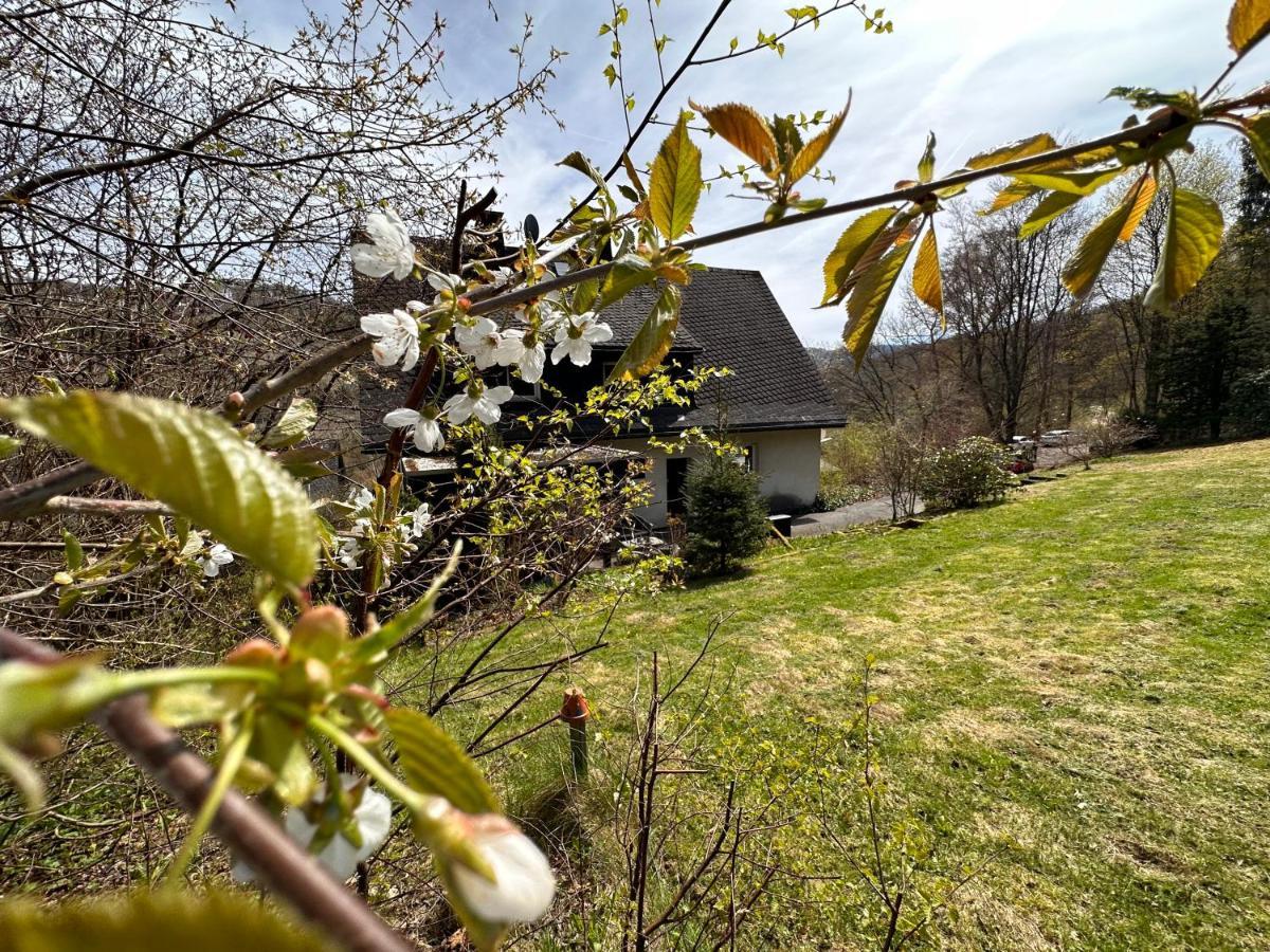Charming Villa On The Forest In Wald 12 Guests Hugh Garden Willingen Sauerland Brilon Exterior foto